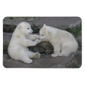Polar Beer Cubs Magneet (Horizontaal)