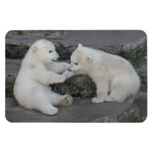 Polar Beer Cubs Magneet