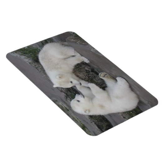 Polar Beer Cubs Magneet (Rechterzijde)