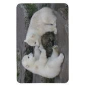 Polar Beer Cubs Magneet (Verticaal)