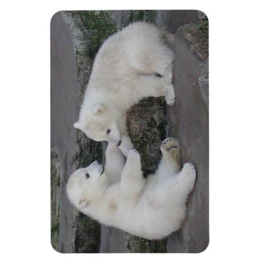 Polar Beer Cubs Magneet (Verticaal)