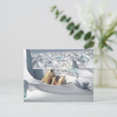 Polar Beer Cubs sneeuwfoto Briefkaart (Staand voorkant)