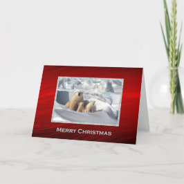 Polar Beer Cubs Sneeuwfoto Kerst Feestdagen Kaart