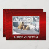 Polar Beer Cubs Sneeuwfoto Kerstflat Feestdagenkaart (Voorkant / Achterkant)