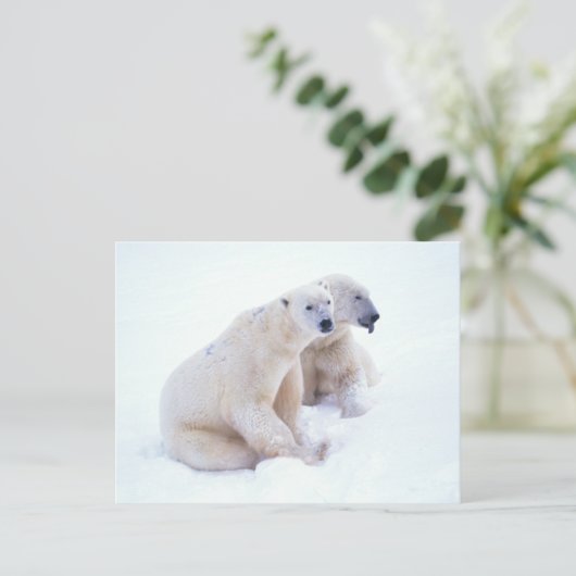 Polar Beer Duo Briefkaart (Staand voorkant)