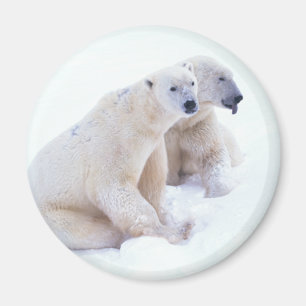 Polar Beer Duo Magneet