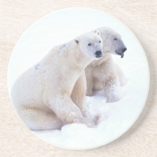Polar Beer Duo Zandsteen Onderzetter