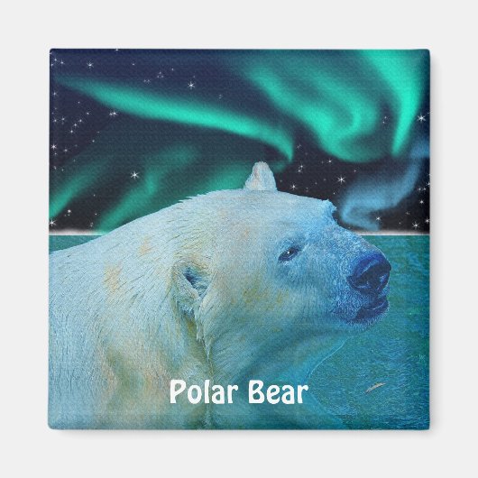 Polar Beer en Aurora Arctic Wildlife Art Magnet (Voorkant)