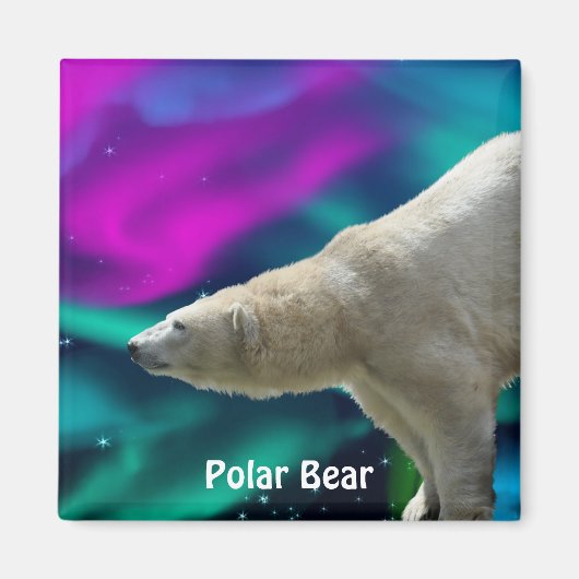 Polar Beer en Aurora Arctic Wildlife Art Magnet (Voorkant)