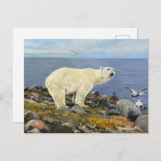 Polar Beer en Eider Eenden aan de Kust door Friese Briefkaart (Voorkant / Achterkant)