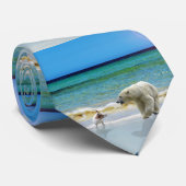Polar Beer en Jack Russel op het strand, Stropdas (Opgerold)