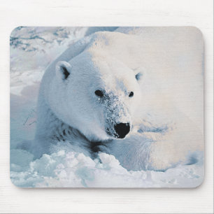 Polar Beer en Sneeuwmousepad Muismat