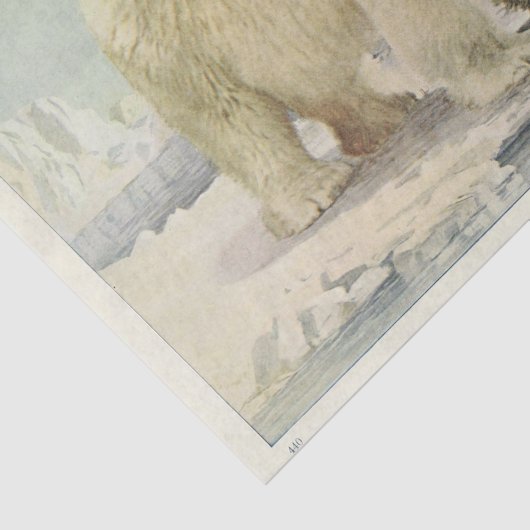 Polar Beer Ephemera Decoupage Tissuepapier (Detail)