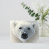 Polar Beer Face Briefkaart (Staand voorkant)