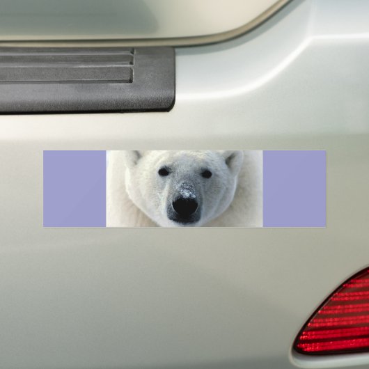 Polar Beer Face Bumpersticker (Op auto)