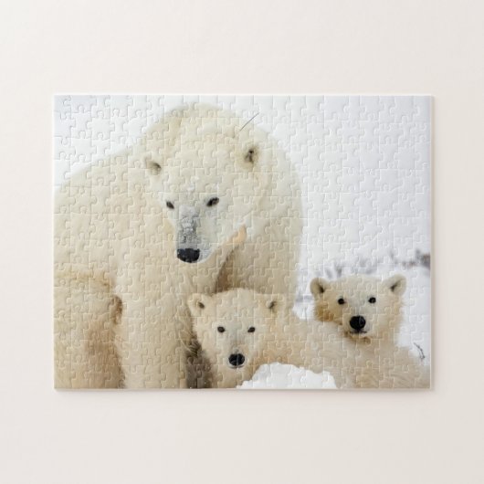 Polar Beer Family, Jigzaag Puzzle Legpuzzel (Horizontaal)