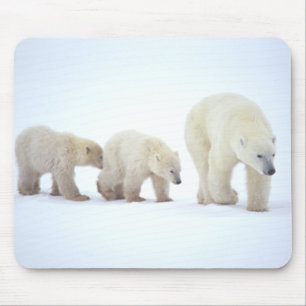 Polar Beer Family Mousepad Muismat