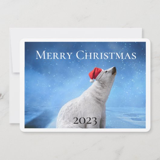 Polar Beer Foto Kerst Wenskaarten Feestdagenkaart (Voorkant)