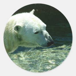 Polar Beer foto Ronde Sticker