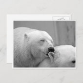 Polar Beer Friends Briefkaart (Voorkant / Achterkant)