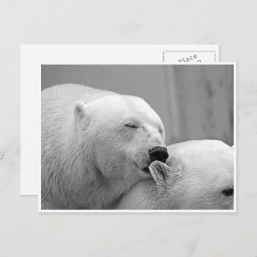 Polar Beer Friends Briefkaart (Voorkant / Achterkant)