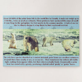 Polar Beer Fun Facts 20 x 30 - 1,014 stuks Legpuzzel