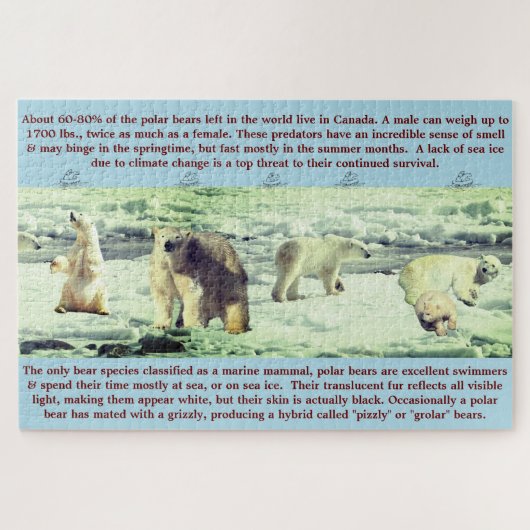 Polar Beer Fun Facts 20 x 30 - 1,014 stuks Legpuzzel (Horizontaal)