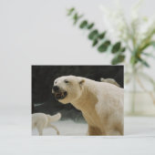 Polar Beer Grin Briefkaart (Staand voorkant)