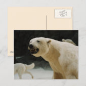 Polar Beer Grin Briefkaart (Voorkant / Achterkant)