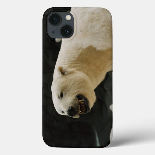 Polar Beer Grin Case-Mate iPhone Case (Achterkant)