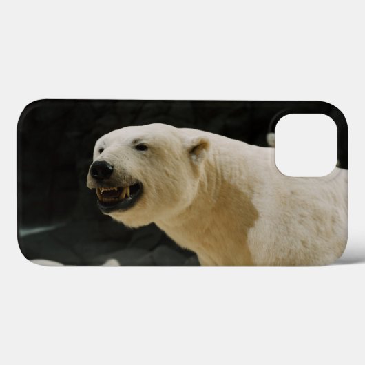 Polar Beer Grin Case-Mate iPhone Case (Achterkant (horizontaal))