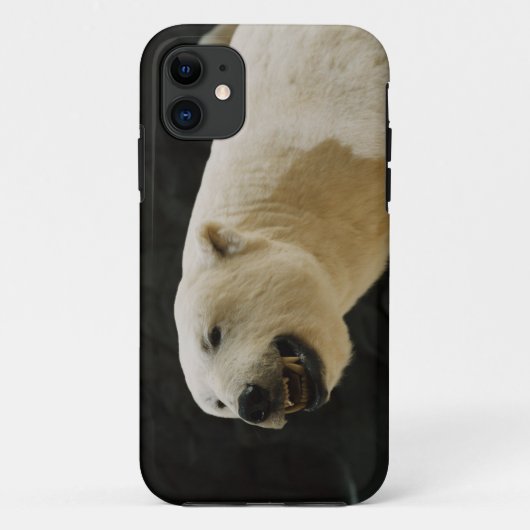 Polar Beer Grin Case-Mate iPhone Case (Achterkant)