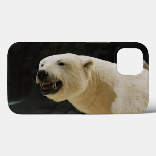 Polar Beer Grin Case-Mate iPhone Case