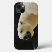Polar Beer Grin Case-Mate iPhone Case (Achterkant)