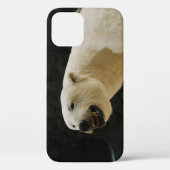 Polar Beer Grin Case-Mate iPhone Case (Achterkant)