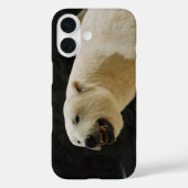 Polar Beer Grin Case-Mate iPhone Case (Achterkant)