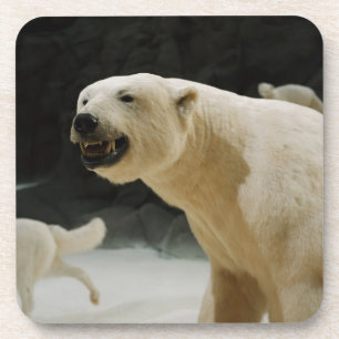 Polar Beer Grin Drankjes Onderzetter