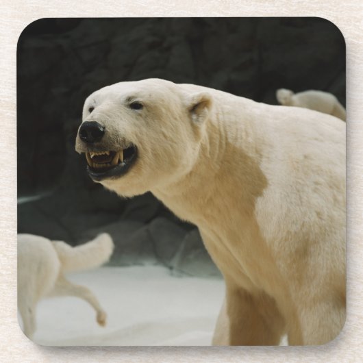 Polar Beer Grin Drankjes Onderzetter (Voorkant)