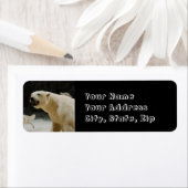 Polar Beer Grin Etiket (Insitu)