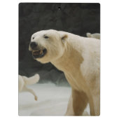 Polar Beer Grin Klembord (Achterkant)