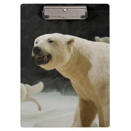 Polar Beer Grin Klembord (Voorkant)