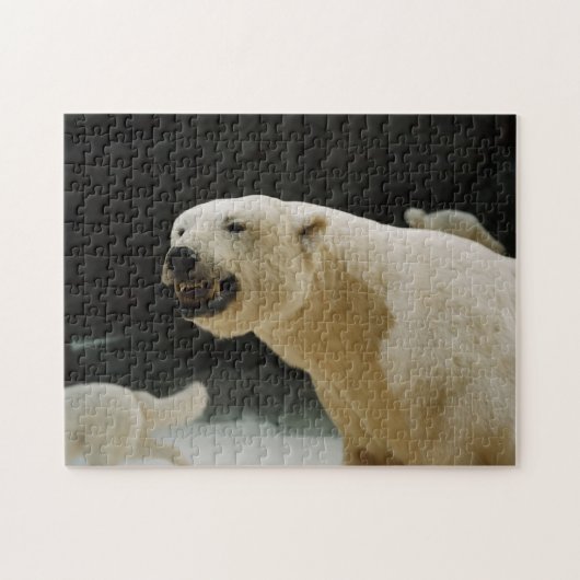 Polar Beer Grin Legpuzzel (Horizontaal)