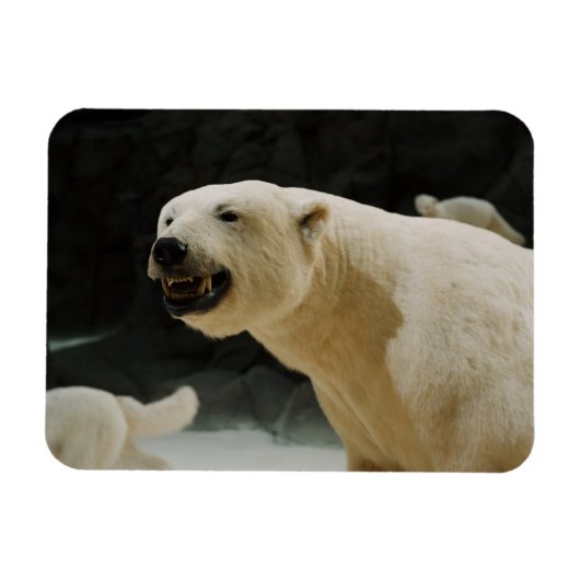 Polar Beer Grin Magneet (Horizontaal)