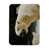 Polar Beer Grin Magneet (Verticaal)