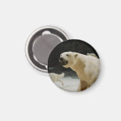 Polar Beer Grin Magneet (Voorkant / Achterkant)