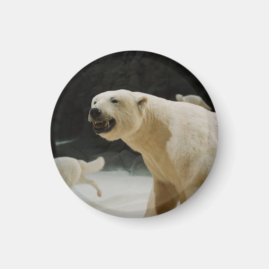 Polar Beer Grin Magneet (Voorkant)
