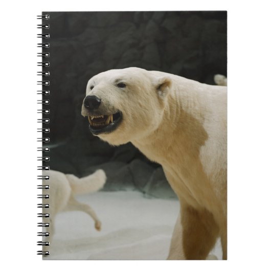 Polar Beer Grin Notitieboek (Voorkant)