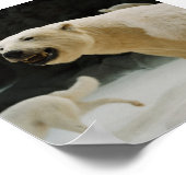 Polar Beer Grin Poster (Hoek)