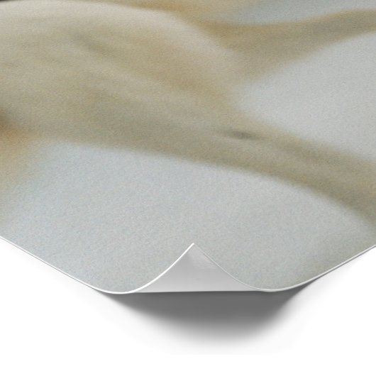 Polar Beer Grin Poster (Hoek)