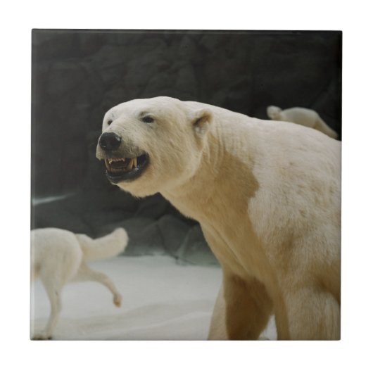 Polar Beer Grin Tegeltje (Voorkant)